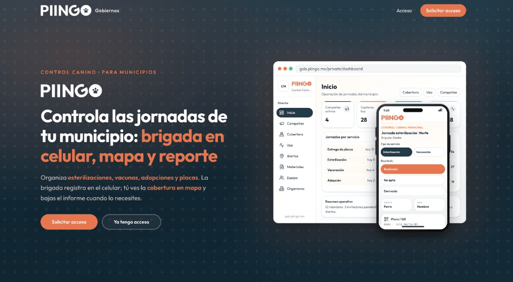 Captura del proyecto Piingo Gob