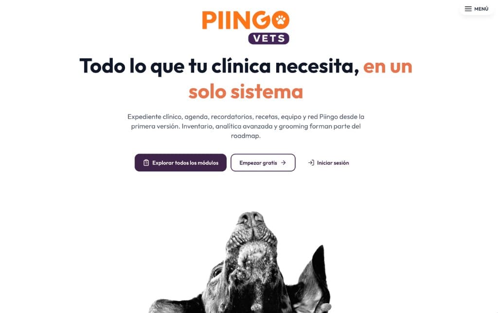 Captura del proyecto Piingo Vets